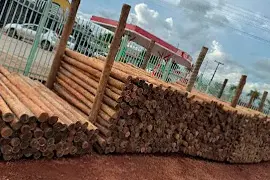 Peças de eucalipto tratado empilhadas no pátio